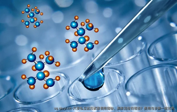 六安私立医院试管费用揭秘，具体流程有哪些？费用与步骤一探究竟