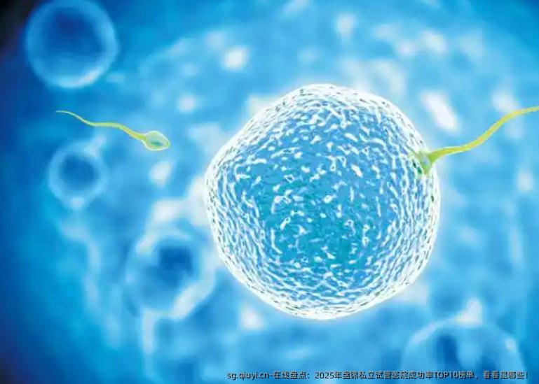 在线盘点：2025年盘锦私立试管医院成功率TOP10榜单，看看是哪些！