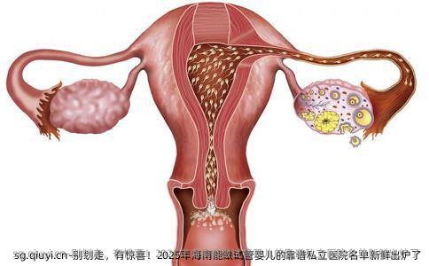 别划走，有惊喜！2025年海南能做试管婴儿的靠谱私立医院名单新鲜出炉了