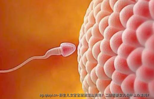 新生儿女宝宝屁屁怎么清洗？二胎想要女儿有什么办法吗？ 