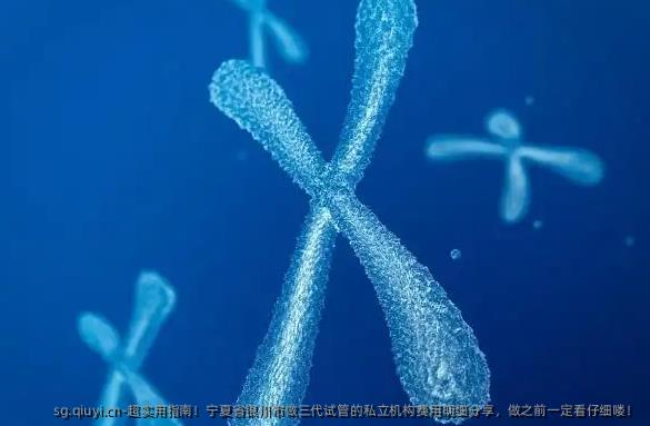 超实用指南！宁夏省银川市做三代试管的私立机构费用明细分享，做之前一定看仔细喽！