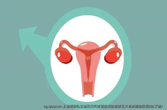 上海哪家私立医院三代试管技术比较好三大名单揭秘仅需30s了解！