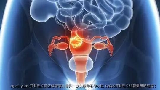 开封私立医院试管婴儿费用一次大概需要多少钱（2025开封私立试管费用明细表）
