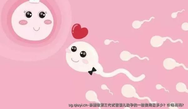 泰国做第三代试管婴儿助孕的一般费用是多少？价格高吗？