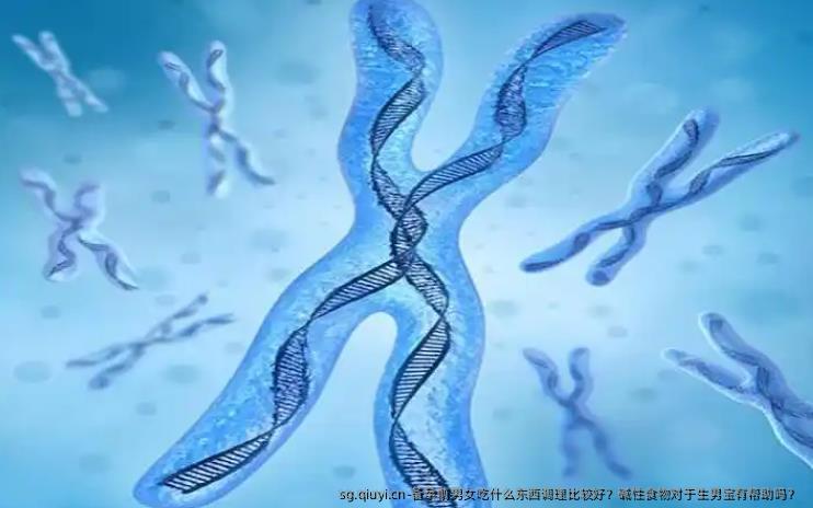 备孕前男女吃什么东西调理比较好？碱性食物对于生孩子宝有帮助吗？ 