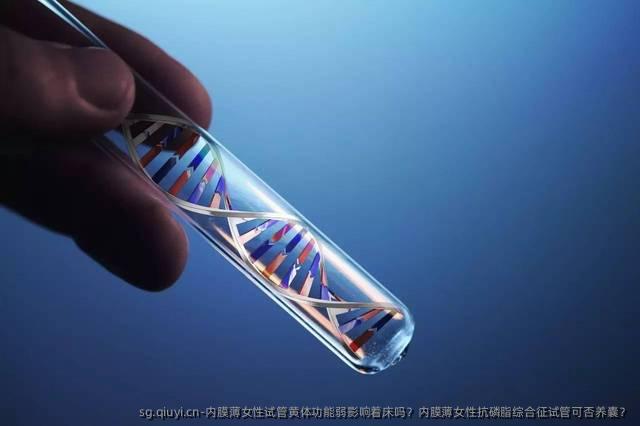 内膜薄女性试管黄体功能弱影响着床吗？内膜薄女性抗磷脂综合征试管可否养囊？