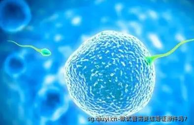 做试管需要结婚证原件吗？
