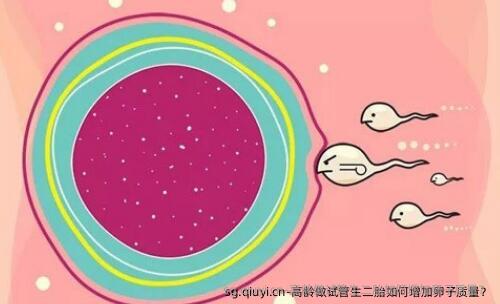 高龄做试管生二胎如何增加卵子质量？