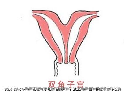 郴州市试管婴儿医院哪家好？2025郴州较好的试管医院公开