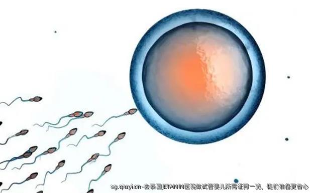 去泰国JETANIN医院做试管婴儿所需证照一览，提前准备更省心