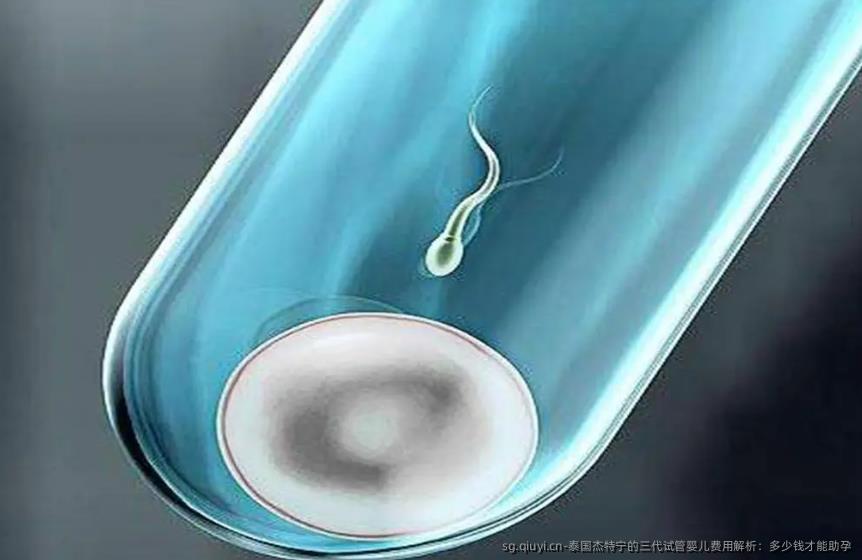 泰国杰特宁的三代试管婴儿费用解析：多少钱才能助孕