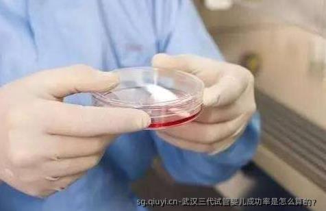 武汉三代试管婴儿成功率是怎么算的？