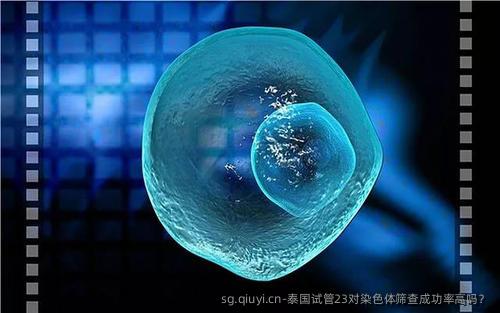 泰国试管23对染色体筛查成功率高吗？