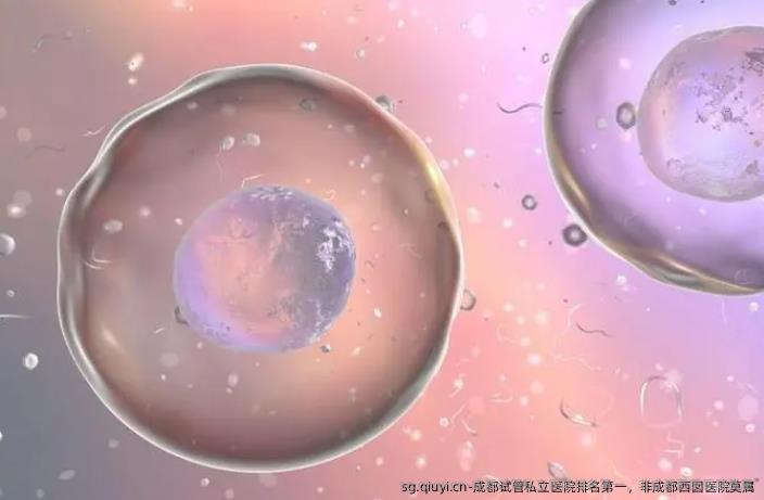 成都试管私立医院排名第一，非成都西囡医院莫属