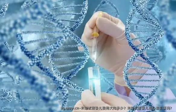 未婚试管婴儿费用大约多少？未婚试管婴儿能办准生证吗？