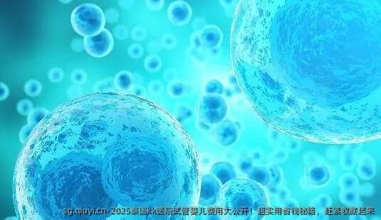 2025泰国kk医院试管婴儿费用大公开！超实用省钱秘籍，赶紧收藏起来