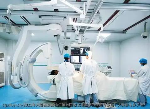2025年未婚去泰国ek生殖医院做试管助孕的费用有多高？大概要花多少钱？