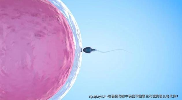 在泰国杰特宁医院可做第三代试管婴儿技术吗？