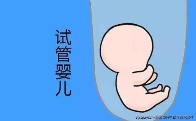泰国杰特宁试管医院怎样