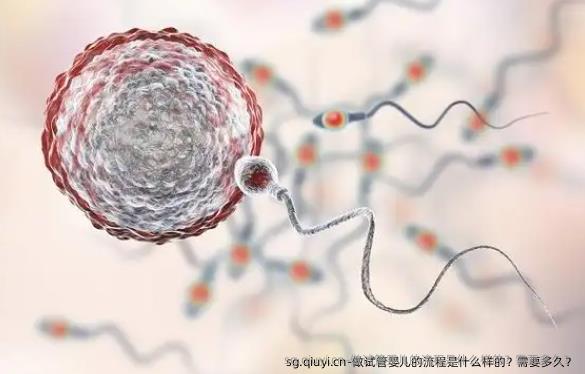 做试管婴儿的流程是什么样的？需要多久？