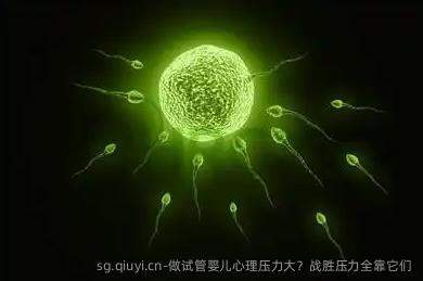 做试管婴儿心理压力大？战胜压力全靠它们