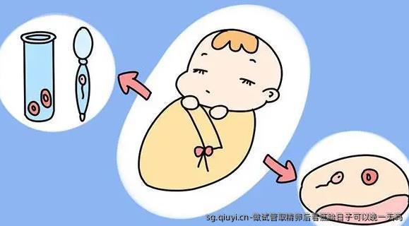 做试管取精卵后看胚胎日子可以晚一天吗