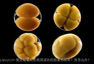 做试管婴儿影响其成功的因素有哪些？该怎么办？