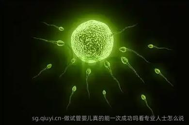 做试管婴儿真的能初次成功吗看专业人士怎么说