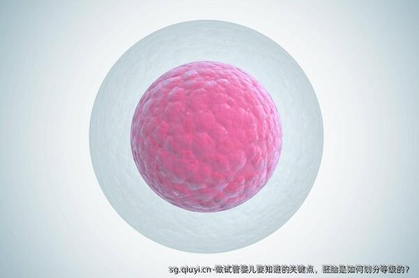 做试管婴儿要知道的关键点，胚胎是如何划分等级的？