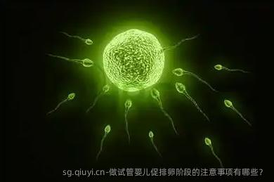 做试管婴儿促排卵阶段的注意事项有哪些？