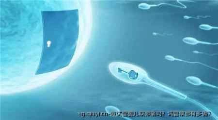 做试管婴儿卵泡取出痛吗？试管卵泡取出有多痛？