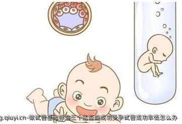 做试管基础卵泡三个是否能成功受孕试管成功率低怎么办