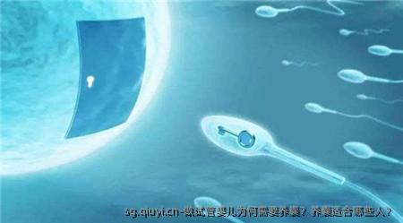 做试管婴儿为何需要养囊？养囊适合哪些人？