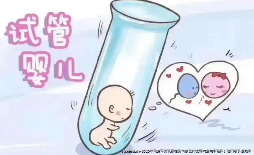 2025年泉州子宫肌瘤在国内做三代试管的成功率高吗？如何提升成功率