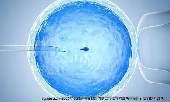 2025年龙岩腺肌症在国内做三代试管的成功率高吗？如何提升成功率