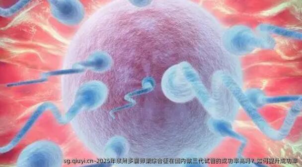 2025年泉州多囊卵巢综合征在国内做三代试管的成功率高吗？如何提升成功率
