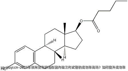 2025年泉州没有卵泡在国内做三代试管的成功率高吗？如何提升成功率