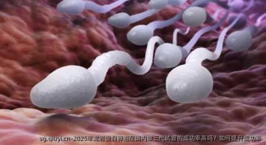 2025年龙岩没有卵泡在国内做三代试管的成功率高吗？如何提升成功率