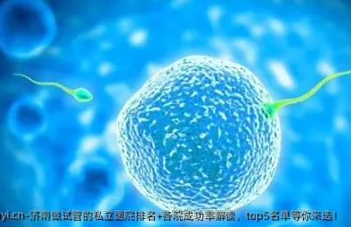 济南做试管的私立医院排名+各院成功率解读，top5名单等你来选！
