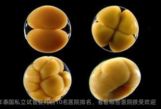 2025年泰国私立试管婴儿前10名医院排名，看看哪些医院很受欢迎