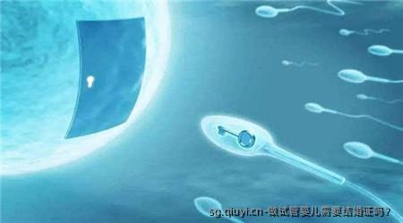 做试管婴儿需要结婚证吗？