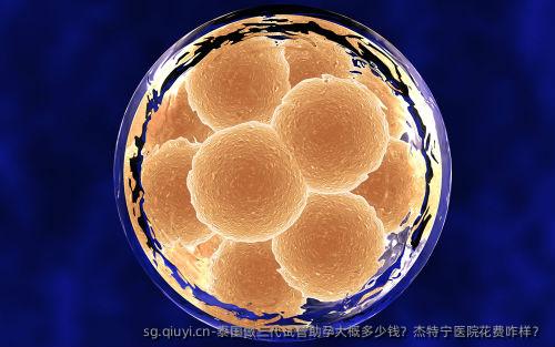 泰国做三代试管助孕大概多少钱？杰特宁医院花费咋样？