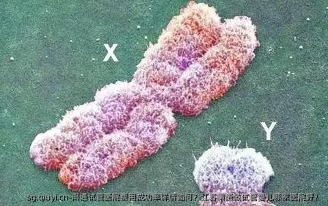 南通试管医院费用成功率详情如何？江苏南通做试管婴儿哪家医院好？