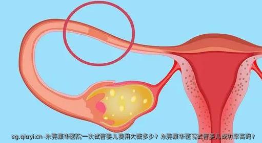 东莞康华医院一次试管婴儿费用大概多少？东莞康华医院试管婴儿成功率高吗？