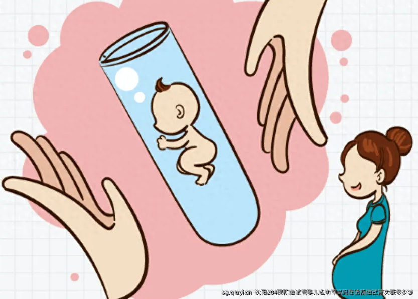 沈阳204医院做试管婴儿成功率高吗在该院做试管大概多少钱