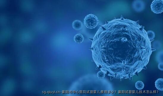 襄阳市中心医院试管婴儿费用多少？襄阳试管婴儿技术怎么样？