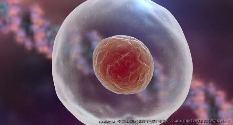中信湘雅三代试管移植成功率是多少？40岁在中信湘雅做试管成功案例分享