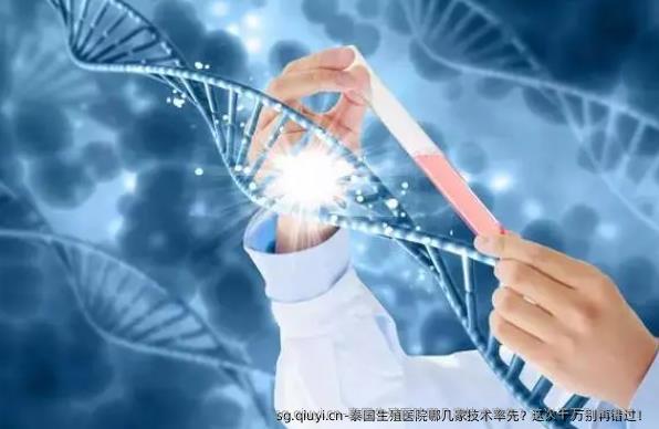 泰国生殖医院哪几家技术率先？这次千万别再错过！