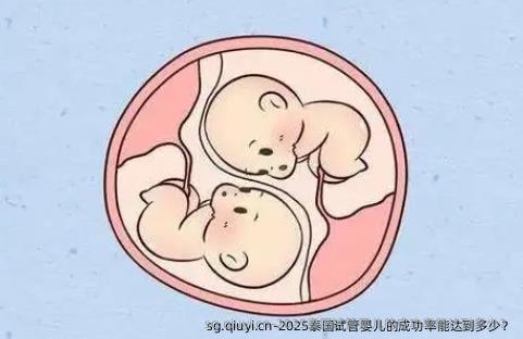 2025泰国试管婴儿的成功率能达到多少？