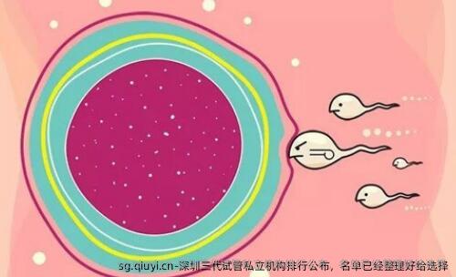 深圳三代试管私立机构排行公布，名单已经整理好给选择